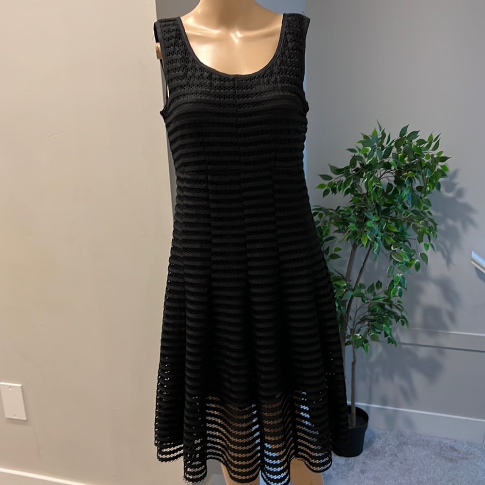 Mesh Stripe Skated Dress